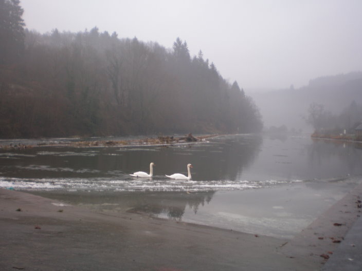 bouillon 076.jpg